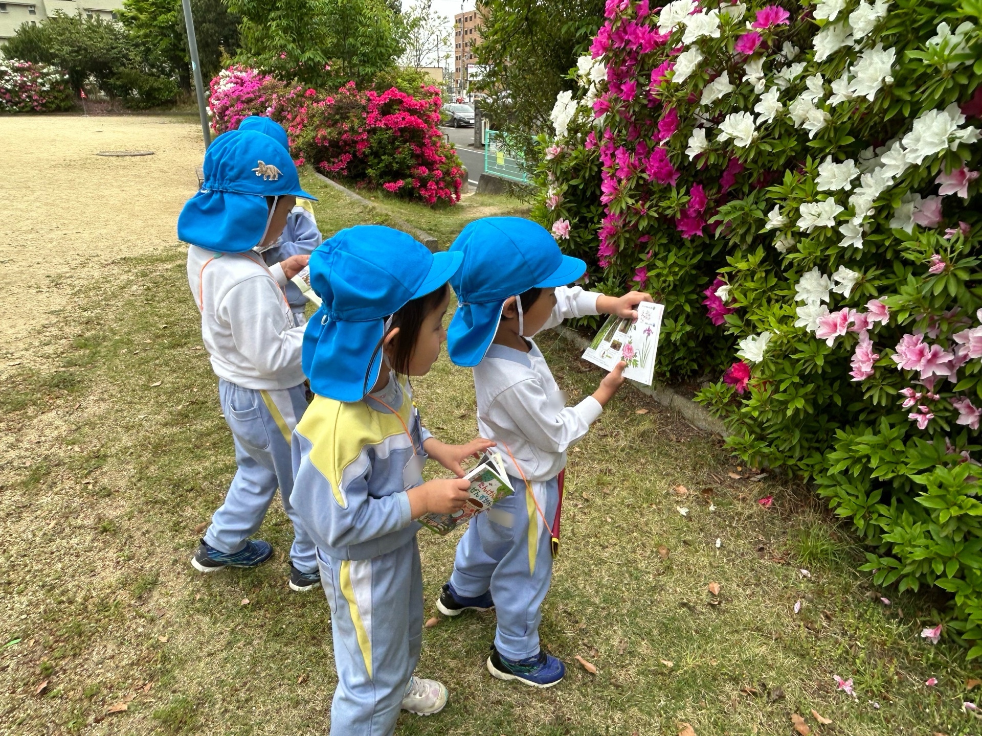 やしま幼稚園NEWS